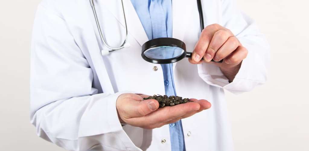 Importance of Medicine Practice 2 Importance of Alternative Medicine