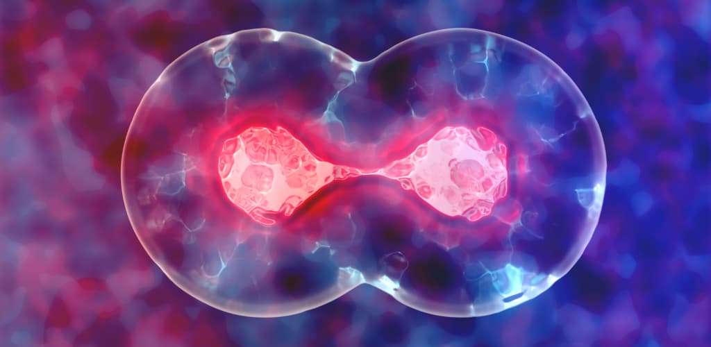 5 Tips to Grow your Healthcare Practice in Recession 2 Duplicate Marketing Ideas