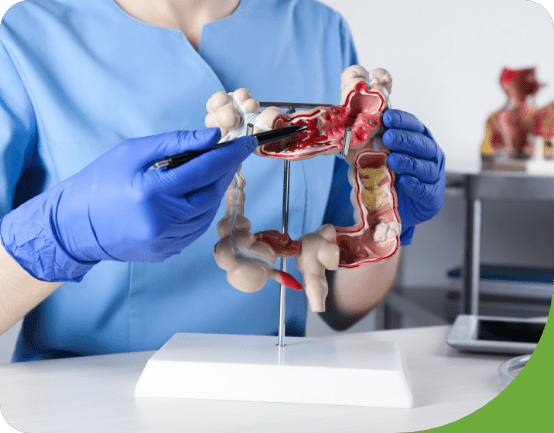 Gastroenterology Marketing 7 Gastroenterology Marketing - 7