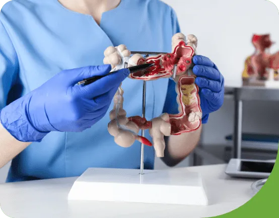 Gastroenterology Marketing 7 Gastroenterology Marketing - 7
