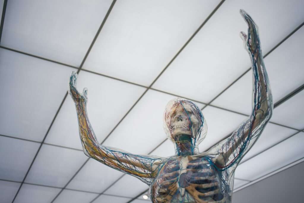 Understanding the Role of a Neurologist in Your Care 3 nervous system