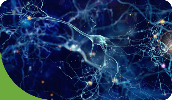 Neurology Marketing 1 Neurology Marketing - 1