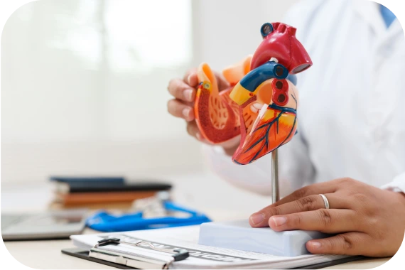 InvigoMedia Home 11 InvigoMedia Home - 11