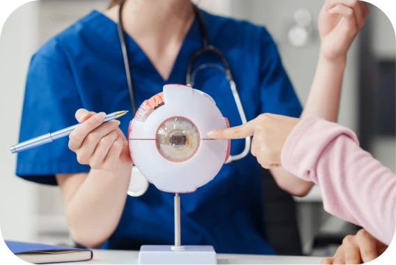 InvigoMedia Home 10 InvigoMedia Home - 10