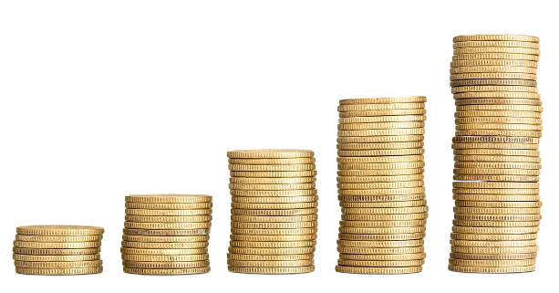 InvigoMedia Home 29 InvigoMedia Home - 29