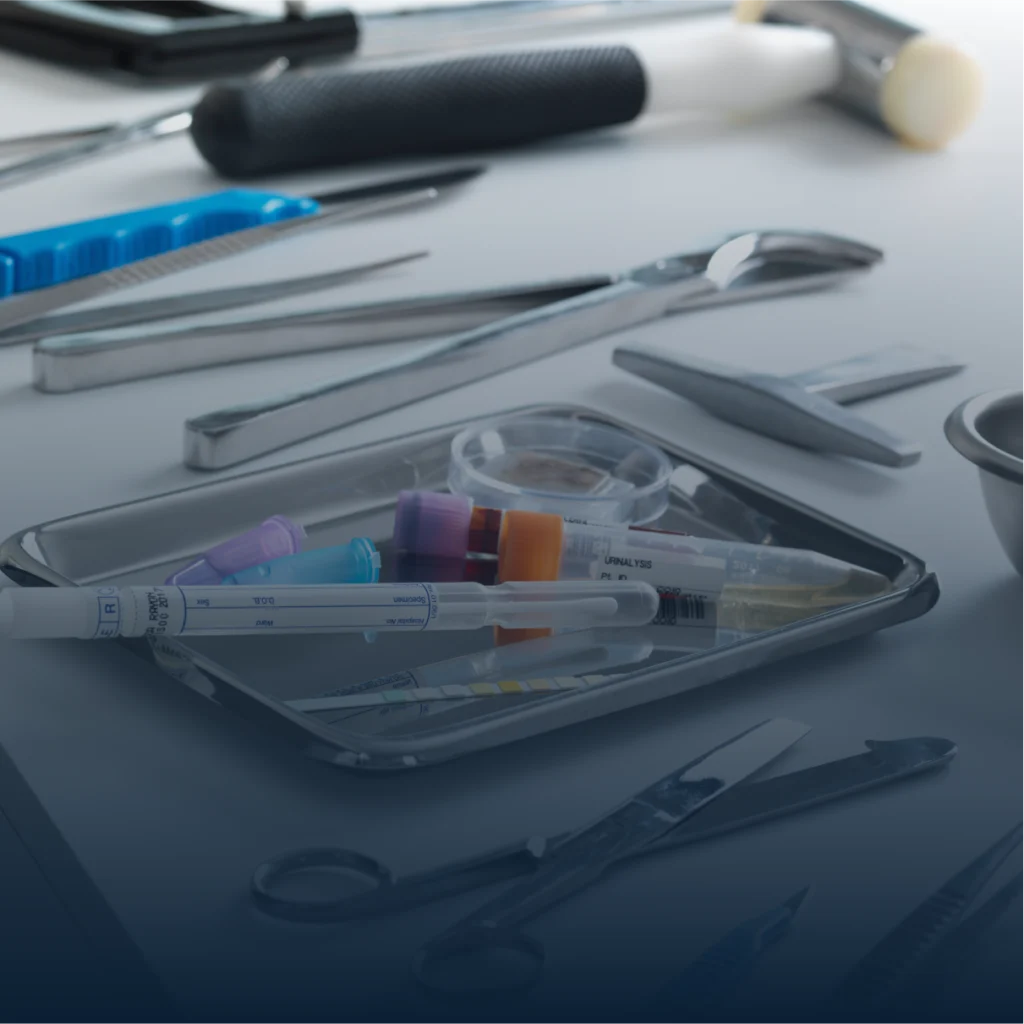 ThightLynx LLC Success Story 2 ThightLynx LLC Success Story - 2